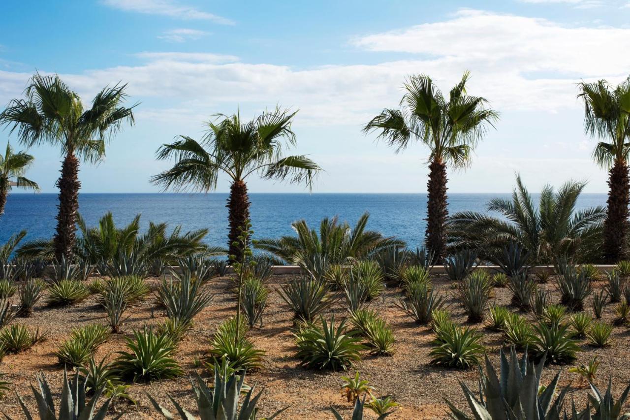 Casa Maat At Jw Marriott Los Cabos Beach Resort & Spa San Jose del Cabo Exterior photo